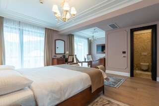 Отель Hotel Gabriela Вишеу-де-Сус Двухместный номер с двуспальной кроватью и дополнительной кроватью-2